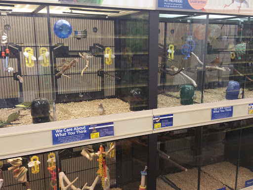 Pet Supply Store «PetSmart», reviews and photos, 1417 W Interstate 240 Service Rd, Oklahoma City, OK 73159, USA