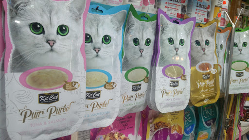 غابة الأمازون 