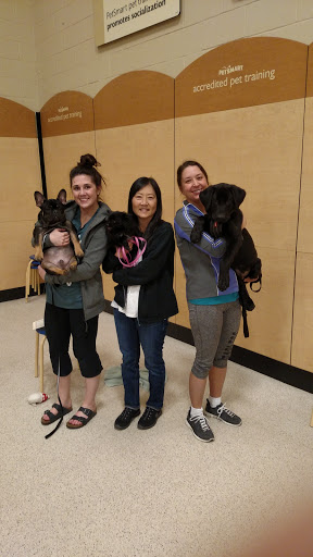 Pet Supply Store «PetSmart», reviews and photos, 1130 SE Everett Mall Way, Everett, WA 98208, USA