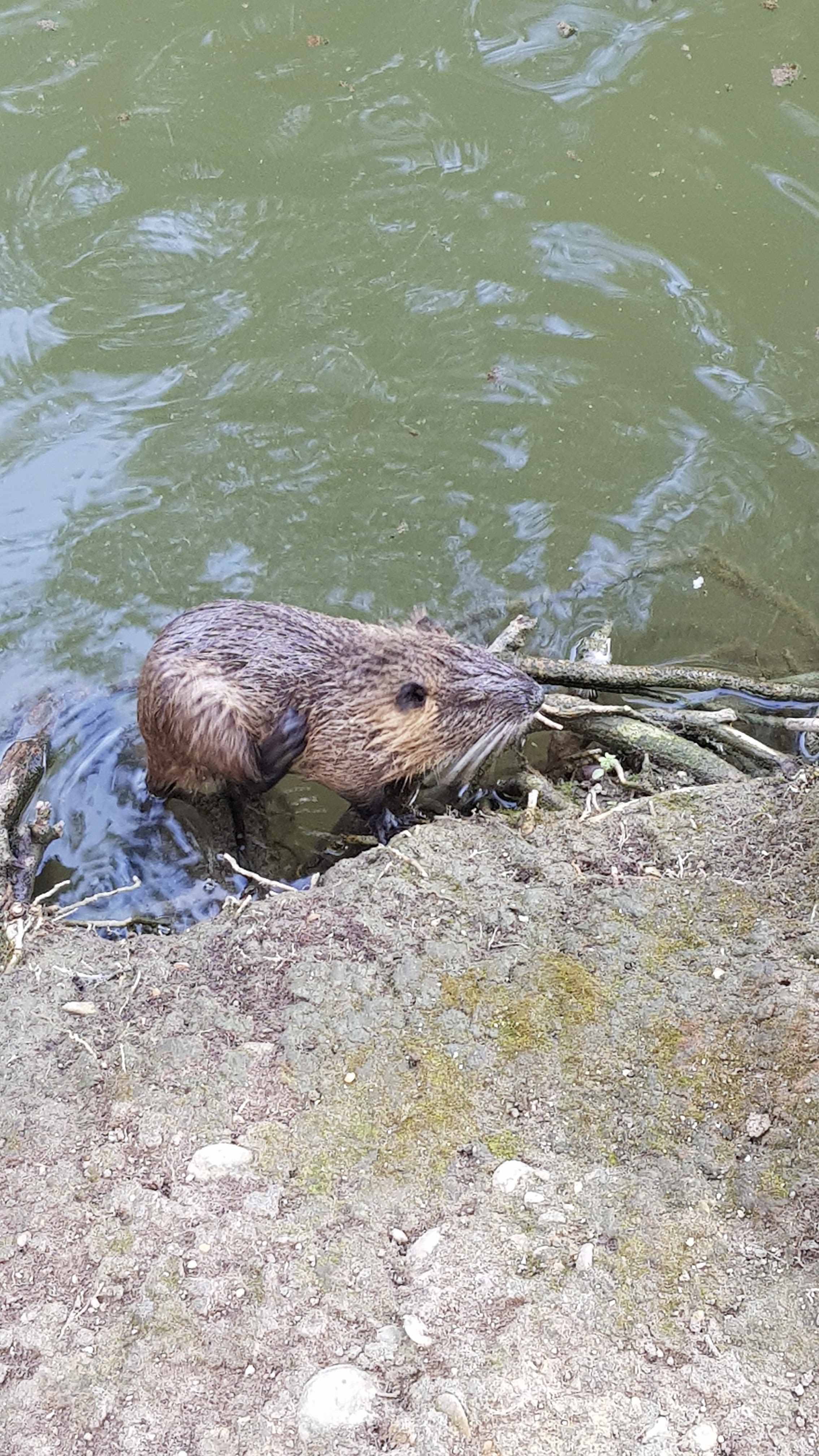 Photo n° 10 de l'avis de Marie.o fait le 30/08/2018 à 15:28
