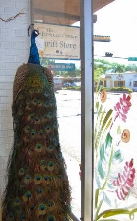 Thrift Store «Hospice Center Thrift Store», reviews and photos, 1303 Cerrillos Rd, Santa Fe, NM 87505, USA