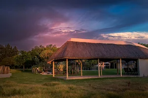 Addo Wildlife image