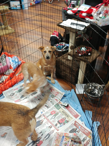 Pet Store «Pet Valu», reviews and photos, 1301 W Skippack Pike, Blue Bell, PA 19422, USA