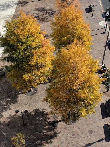 History Museum «Newseum», reviews and photos, 555 Pennsylvania Ave NW, Washington, DC 20001, USA