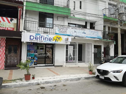 Agencia de viajes Delfinely