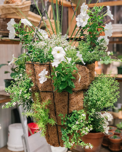 Hardware Store «Economy Supply of Lebanon», reviews and photos, 1055 Tangent St, Lebanon, OR 97355, USA