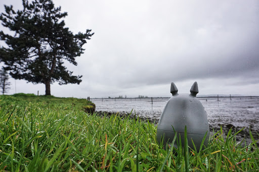 Golf Course «Legion Memorial Golf Course», reviews and photos, 144 W Marine View Dr, Everett, WA 98201, USA