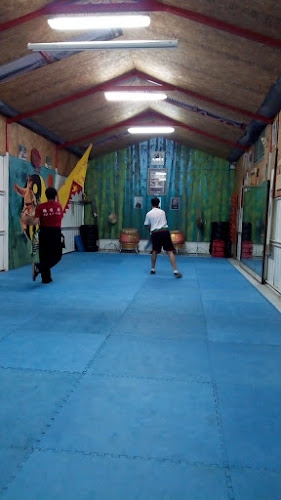 Opiniones de Escuela de Kung Fu Tradicional, Fo Li Cai Chile en Chillán - Gimnasio