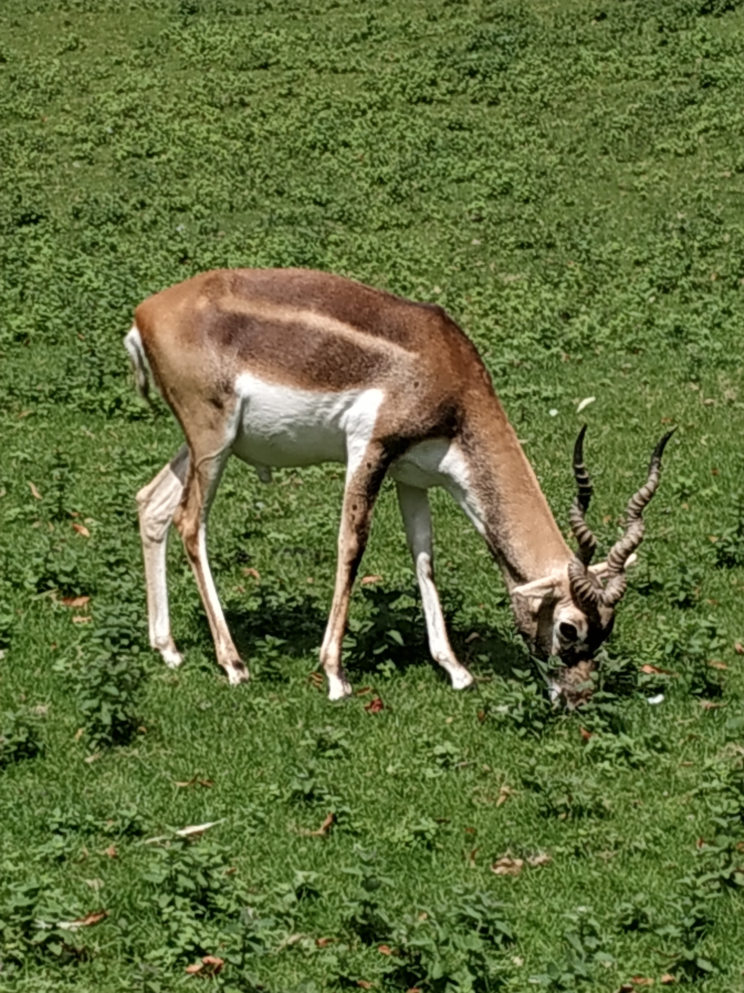 Photo n° 2 de l'avis de Lucette.A fait le 26/07/2023 à 15:32