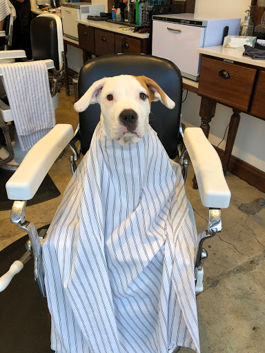 Barber Shop «Blades Co. Barbershop», reviews and photos, 13 Columbus Ave, San Francisco, CA 94111, USA