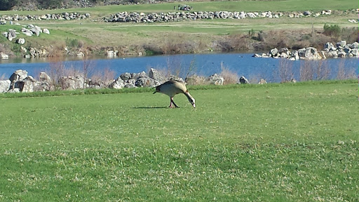 Golf Course «The Quarry Golf Course», reviews and photos, 444 E Basse Rd, San Antonio, TX 78209, USA