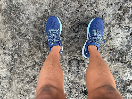 Running Store «Road Runner Sports», reviews and photos, 1326 Tenth Street, Berkeley, CA 94710, USA