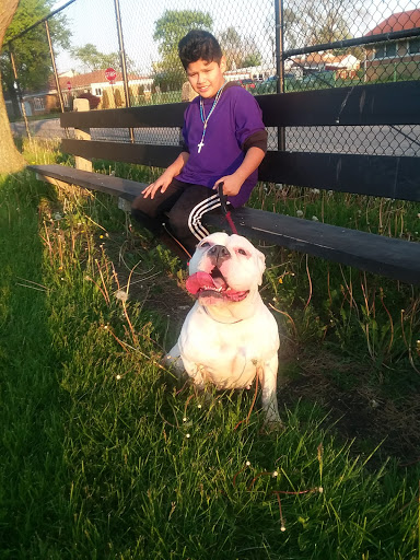 Park «Scottsdale Park», reviews and photos, 4637 W 83rd St, Chicago, IL 60652, USA