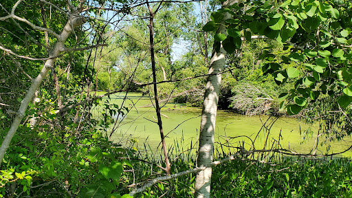 Nature Preserve «Raven Glen Forest Preserve», reviews and photos, 41080 US-45, Antioch, IL 60002, USA
