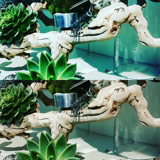 Florist «Scarsdale Flower Boutique», reviews and photos, 7 Harwood Ct, Scarsdale, NY 10583, USA