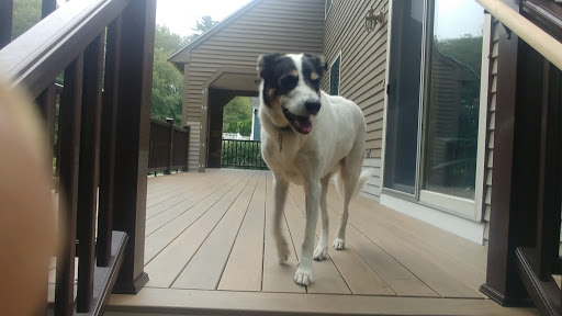 Pet Supply Store «Pet Food Shoppe Ltd», reviews and photos, 6 Harding St, Lakeville, MA 02347, USA