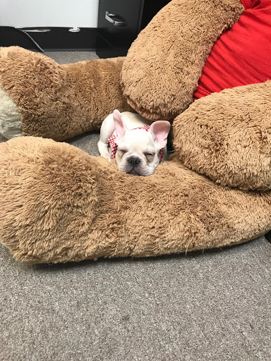 Insurance Agency «Crystal Martinez - State Farm Insurance Agent», reviews and photos