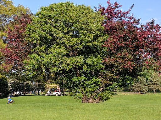 Golf Club «Majestic Oaks Golf Club», reviews and photos, 701 Bunker Lake Blvd, Andover, MN 55304, USA