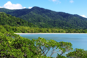 Daintree Discovery Tours image