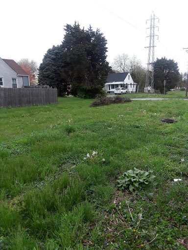 Park «Algonquin Park», reviews and photos, 1614 Cypress St, Louisville, KY 40210, USA