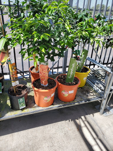 Tire Shop «Walmart Tires & Auto Parts», reviews and photos, 6192 Gunn Hwy, Tampa, FL 33625, USA