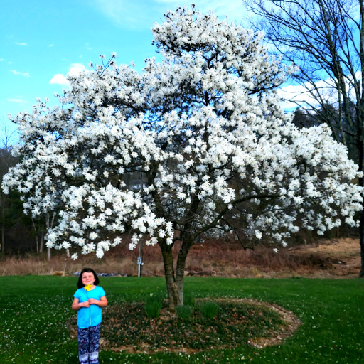 Produce Market «Saunderskill Farms», reviews and photos, 5100 US-209, Accord, NY 12404, USA