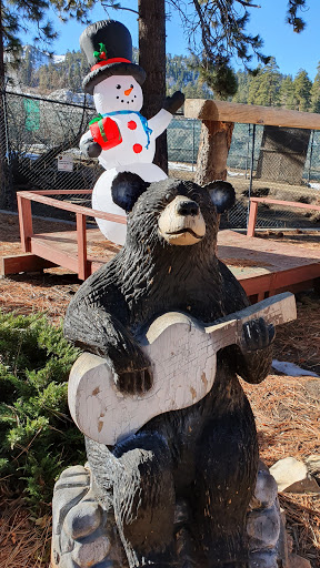 Big Bear Alpine Zoo image