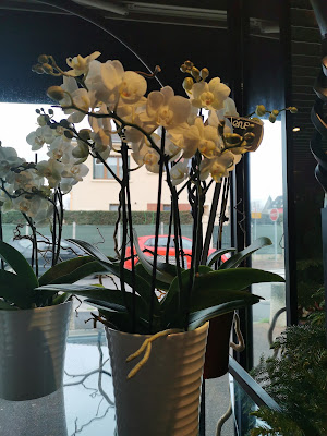 Mille et une Fleurs à Chelles