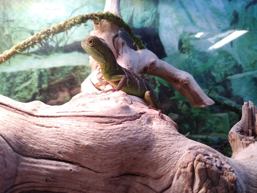 Pet Supply Store «Pet Station Jackson», reviews and photos, 1617 E Michigan Ave, Jackson, MI 49202, USA