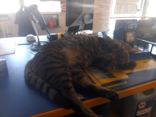 Auto Parts Store «NAPA Auto Parts - Kkr Automotive», reviews and photos, 21295 Mission Blvd, Hayward, CA 94541, USA