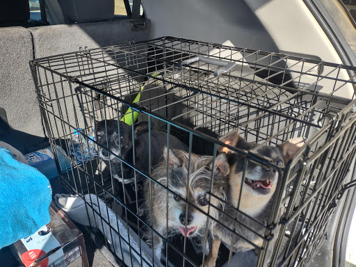 120 Robertson Blvd, Chowchilla, CA 93610, USA