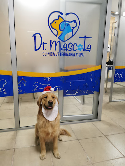 Dr Mascota Clínica Veterinaria y Spa