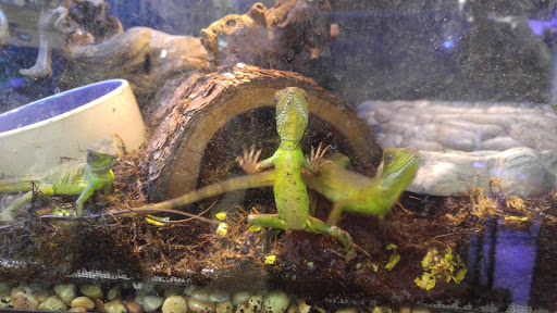 Pet Store «Animal Attraction», reviews and photos, 2518 11th Ave, Greeley, CO 80631, USA