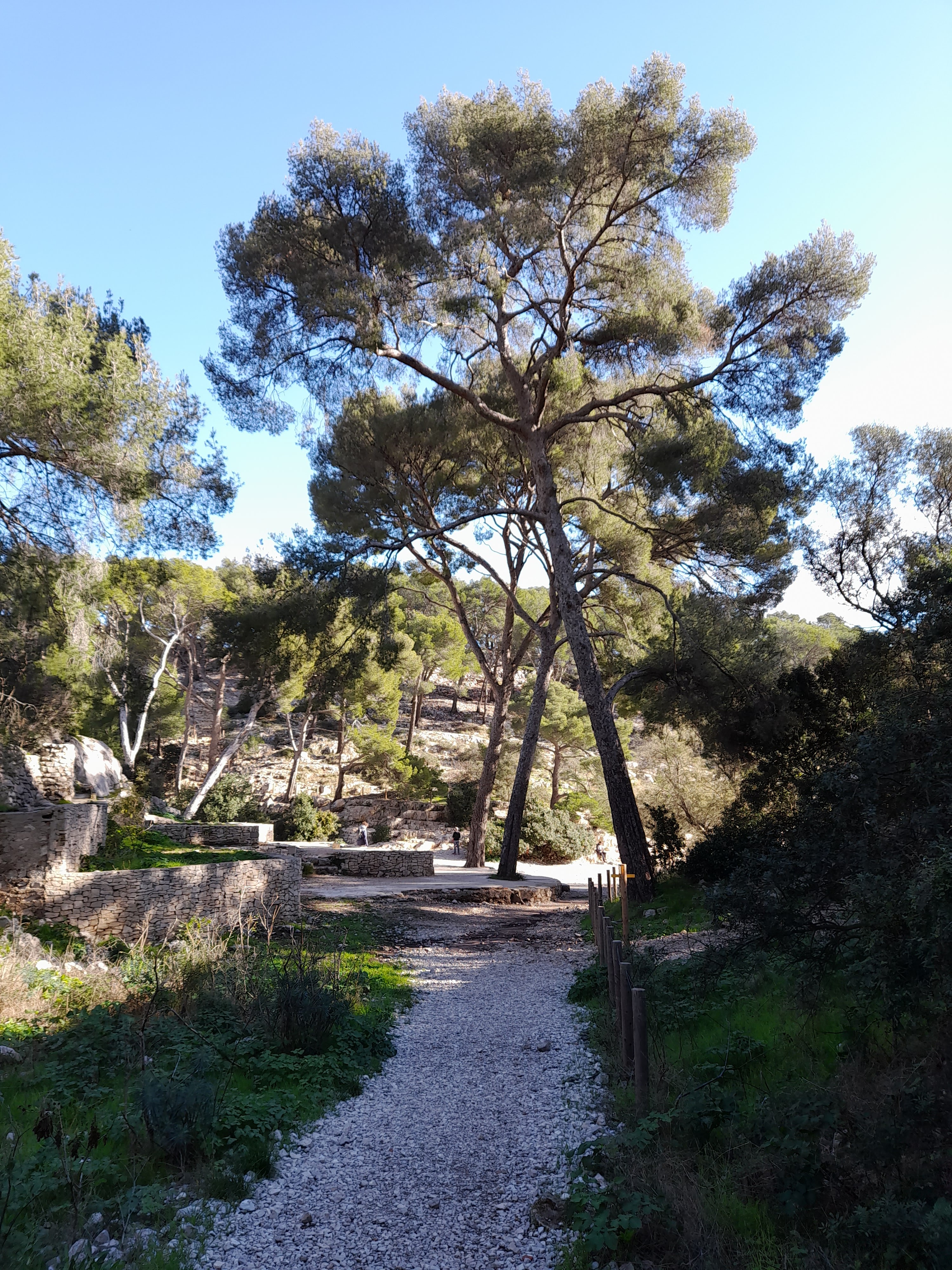 Photo n° 4 de l'avis de Lena.e fait le 28/11/2021 à 15:33