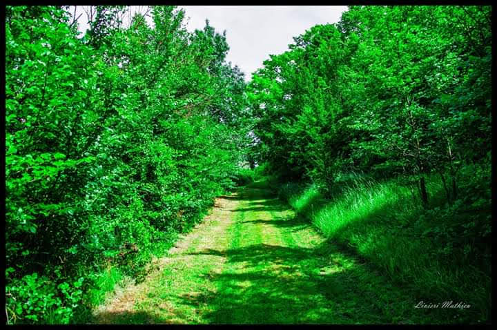 Photo n° 2 de l'avis de Mathieu.i fait le 23/06/2019 à 12:35