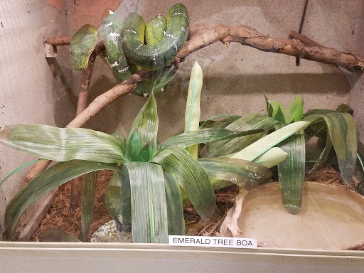 Zoo «Animal World & Snake Farm Zoo», reviews and photos, 5640 Interstate 35 Frontage Rd, New Braunfels, TX 78132, USA