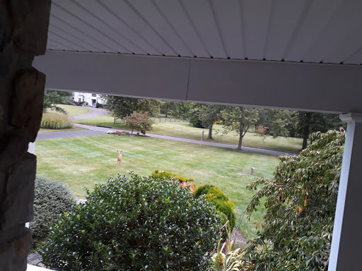 Golf Club «Stonybrook Golf Club», reviews and photos, 207 Stony Brook Rd, Hopewell, NJ 08525, USA