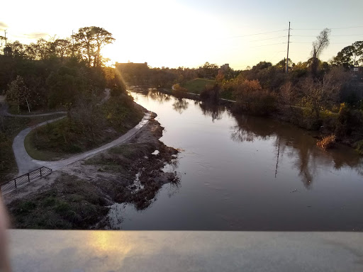 Tourist Attraction «Waugh Drive Bat Colony», reviews and photos, Waugh Dr, Houston, TX 77002, USA