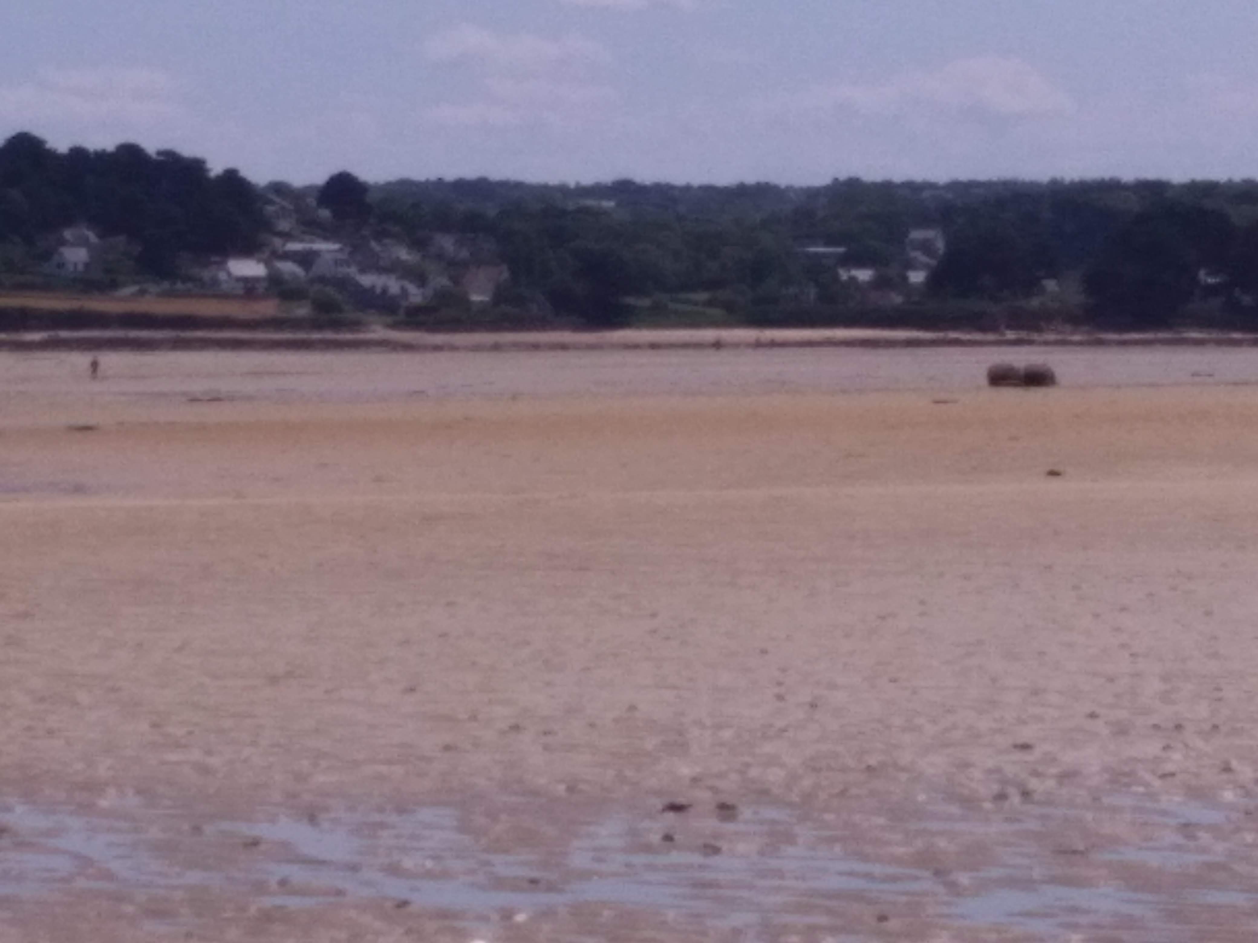 Photo n° 3 de l'avis de Francois.u fait le 26/07/2019 à 16:45