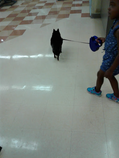 Pet Supply Store «Petco Animal Supplies», reviews and photos, 2435 N Hwy 67, Florissant, MO 63033, USA