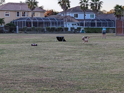 Recreation Center «Carrollwood Meadows Rec Center», reviews and photos, 13918 Farmington Blvd, Tampa, FL 33625, USA