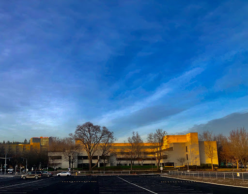 City tax office Eugene