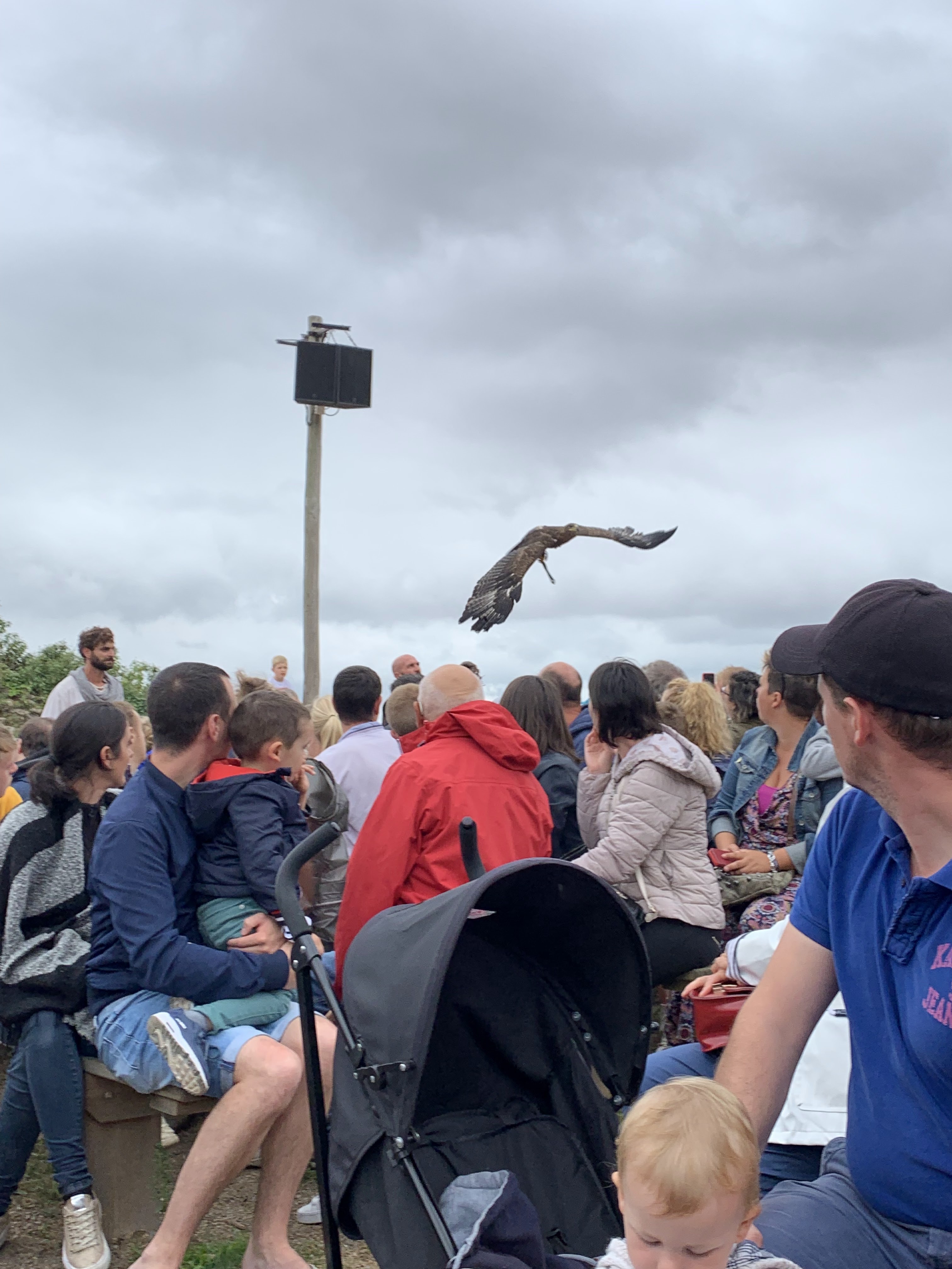 Photo n° 2 de l'avis de Mikhael. fait le 18/08/2019 à 23:49