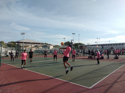 UTP Volleyball Courts