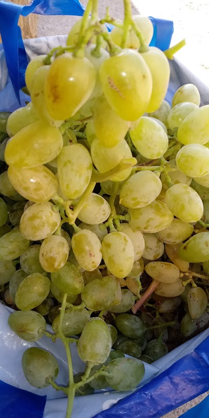 Mazidağı üzümler