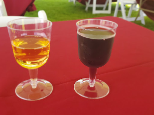 Vineyard «Chautauqua Vineyard & Winery», reviews and photos, 364 Hugh Adams Rd, Defuniak Springs, FL 32435, USA