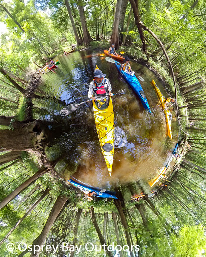 Canoe & Kayak Tour Agency «Osprey Bay Outdoors», reviews and photos, 160 N Belcher Rd, Clearwater, FL 33765, USA