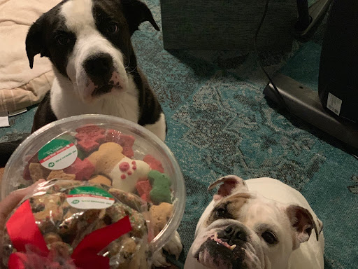 Pet Supply Store «Pet Supplies Plus», reviews and photos, 1704 Greenville Ave, Dallas, TX 75206, USA