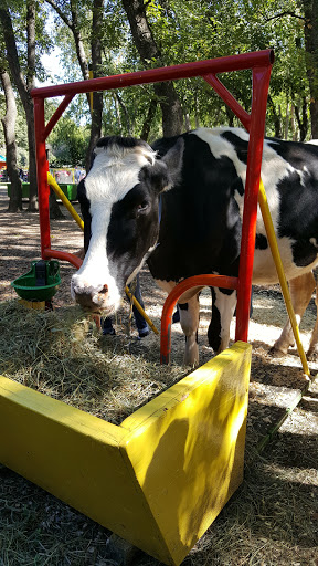 Museum «Queens County Farm Museum», reviews and photos, 73-50 Little Neck Pkwy, Queens, NY 11004, USA