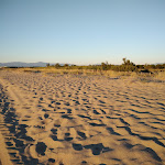 Photo n° 9 de l'avis de Pascal.i fait le 09/07/2020 à 06:52 pour Plage Naturiste de Torreilles à Torreilles